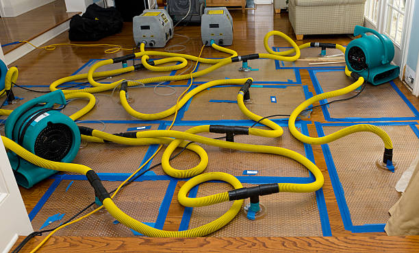 Professional Basement Flood Cleanup technician working in Suring, WI